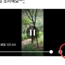 개구리소리 들으셨으면 쪼꼬미 고라니도 구경하세요🤗 이미지