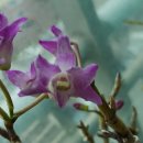 두화농장 이미지