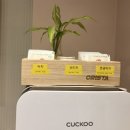 브라운도트호텔 남춘천점 이미지