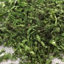 온석농장 이미지