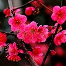 예쁜,날(스킨) 이미지