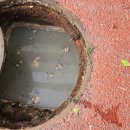 유성구청 7층 이미지