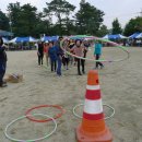도고온천초등학교 이미지