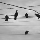 시너지내과신경과의원 이미지