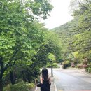 대선사우나 | [5월/일상] 춘천에서 부산까지! (삼악산 케이블카, 부산타워 등)
