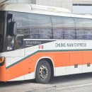 상록수(아) 이미지