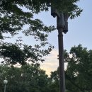 통일로42길 이미지