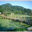 영산 연지 이미지