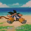 손가 이미지