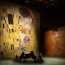 클림트&뮤직 콘서트 이미지