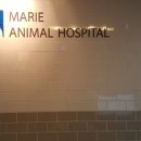 삼계동물병원 이미지