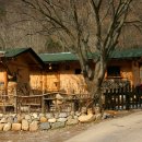 느티나무민박 이미지