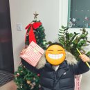 디뮤어 카라반 이미지