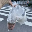 울산 요거트아이스크림 맛집 컵히 요아정 갈아타기