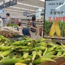 초당 이미지