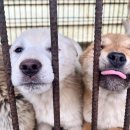 은편농장 이미지