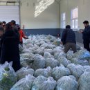 하동농협적량지점 이미지