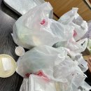 장안동왕족발 | 풍암동 족발 장안동왕족발순대 포장 후기