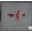 미드미동물의료센터 이미지