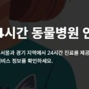 24시월드펫동물메디컬센터 | 서울 24시 동물 병원