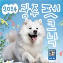 놀아보개 이미지