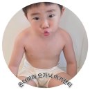 마마코튼 - 동구 동계천로 135-3 | 편안한 착용감 남아팬티, 온더마마 아기팬티 실착용 후기