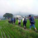 청평하다 이미지