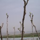 미더덕협동조합 이미지