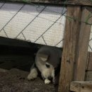 백구세탁소 이미지