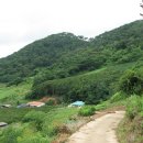 법성포 숲쟁이공원 이미지