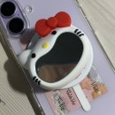 비즈버디 | [그립톡, 폰 스트랩 후기] 아이폰17 폰꾸