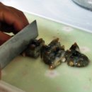 고흥녹동회타운 이미지