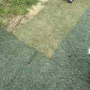 고신농장 이미지