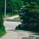 바위샘펜션 이미지