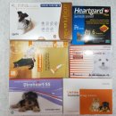 장천드림약국 이미지