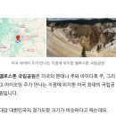 화산슈퍼 이미지