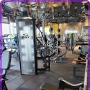 더 킹스짐 이미지