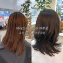 바비드헤어 용인 역북점 / 용인 처인구 역북동 미용실 중단발 레이어드컷 염색 잘하는곳 추천