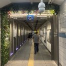 조명1번가