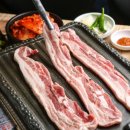 GOGI=(고기는) 이미지
