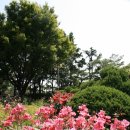 H8288 Daum카페