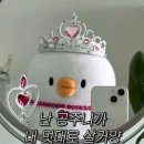봄은 다 지나갔네요