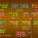 원어성경 히브리어 필수문법 강좌 43-2 이미지