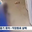 &#34;업무 갈등 때문에&#34; 대나무 흉기로 직장동료 살해한 50대 이미지