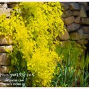 송화가든민박 | 소니a7r3 카메라와 함께 아산 외암마을 여행 아산 가볼만한 곳 - 외암민속마을,