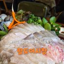 인덕원어린이공원 | 인덕원 맛집 추천 데이트 하기 좋은 팔도어시장 인덕원본점