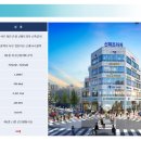 신화약국 이미지