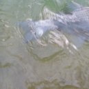 헤라낚시터 이미지