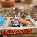 만경밧데리 이미지