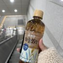 지에스25 폴라리스점 | 새해 첫 데이트가 드레스 가봉 + 스튜디오 촬영용 예복 피팅이라니!